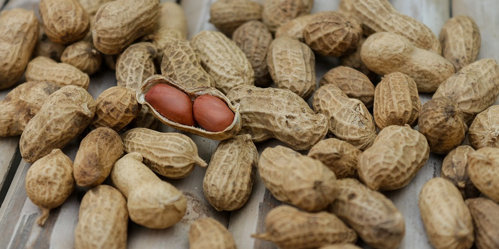 peanut Peanuts