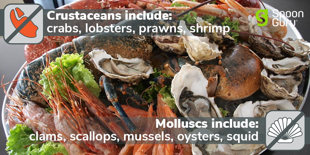 shellfish