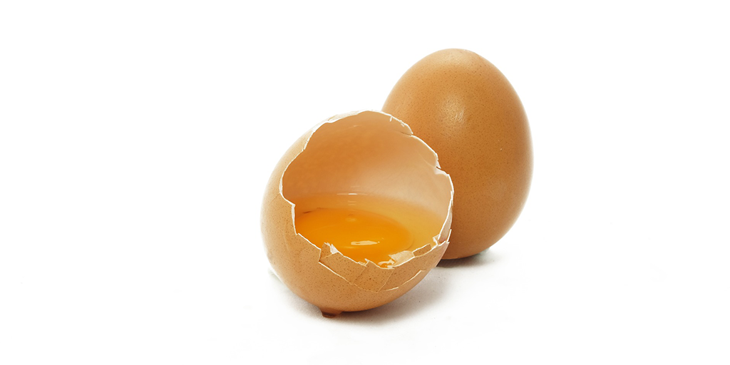 egg