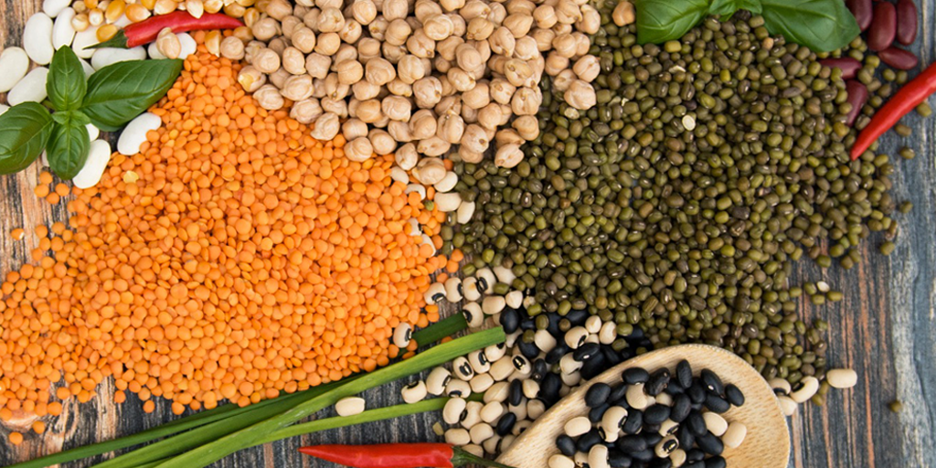 Legumes-Prebiotics-ImmunitySupport-SpoonGuru Legumes for prebiotics - Immunity Support Spoon Guru