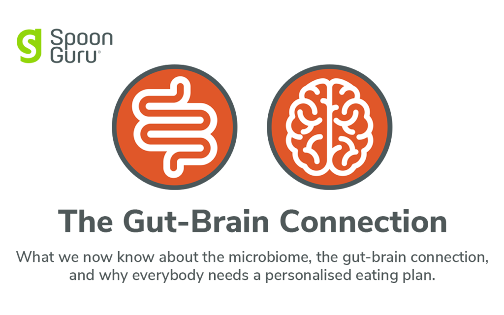 The gut-brain connection