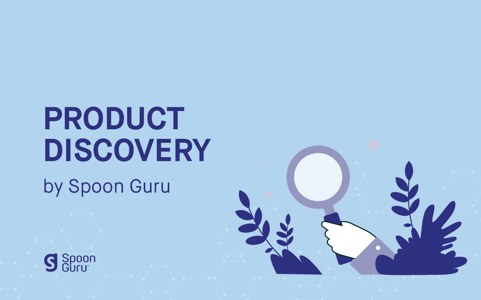 Product Discovery by Spoon Guru